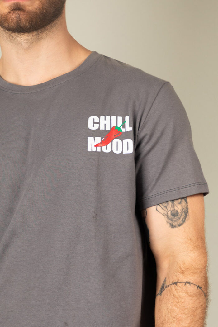 Camiseta Indie Gris Stay Chill